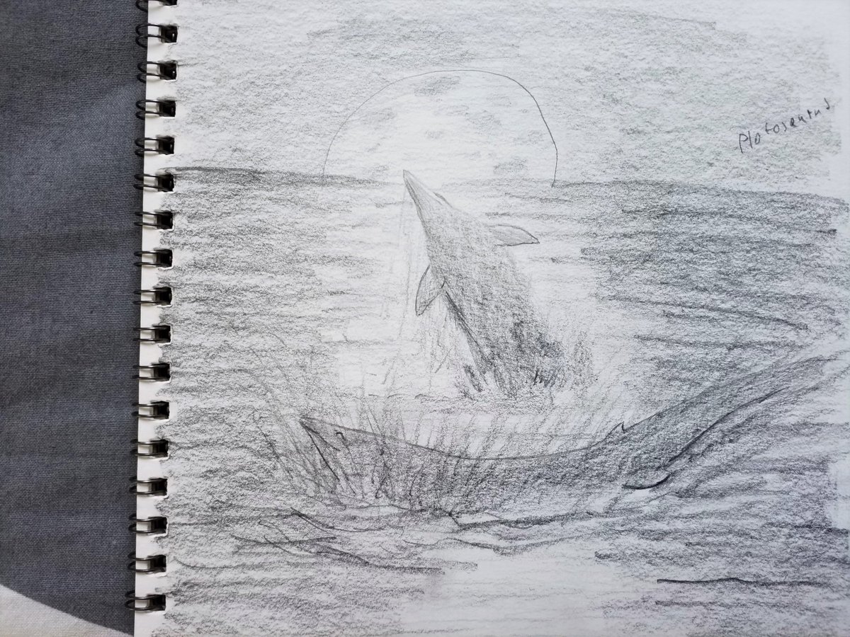 Fang83768513's tweet photo. So I know Im extreamly late for #MosasaurWeek but sadly some life stuff happend but heres the 3 mosasaurs that I drew during #paleostream
Plioplatecarpus in a flooded forest.
Plotosaurus pair breaching in the moonlight.
Mosasaurus thats been beached in the Oulad Abdoun Basin. https://t.co/4MdYqKGF0h
