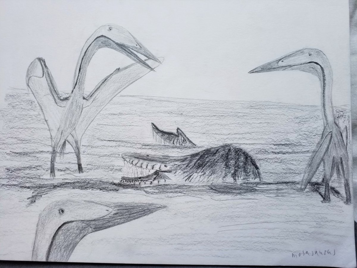 Fang83768513's tweet photo. So I know Im extreamly late for #MosasaurWeek but sadly some life stuff happend but heres the 3 mosasaurs that I drew during #paleostream
Plioplatecarpus in a flooded forest.
Plotosaurus pair breaching in the moonlight.
Mosasaurus thats been beached in the Oulad Abdoun Basin. https://t.co/4MdYqKGF0h