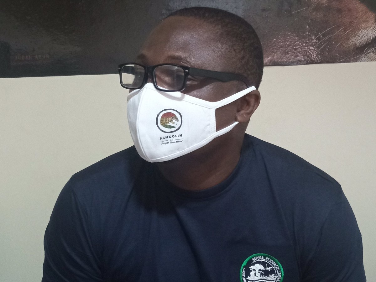 PangolinGh's tweet photo. The coordinator for @PangolinGh @YawBoakyeAgyem2 launched the Mask-up for Pangolins Campaign by wearing an PangolinGh branded nose mask. Thanks to @catherine_barr, Faith and @johnhpango for their support. #MoreIsNeeded.
#MaskUpForPangolins. https://t.co/37RDXb4pe9