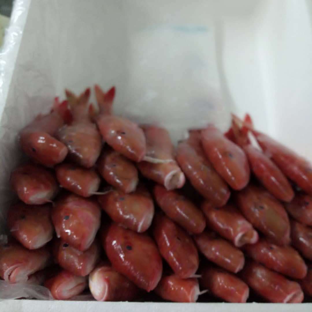 FishBoxSn tweet picture