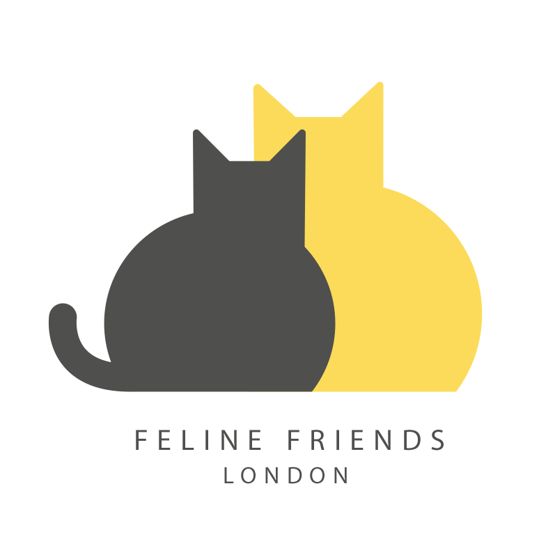 WireFenceHelp's tweet photo. We would like to present the winner of our World Spay Day fundraising. 🥳
@FelineFriendsUK was founded in 2013 with the aim of offering sanctuary to cats at risk of unnecessary euthanasia and to help cats in need. https://t.co/aZ97aqQXVX