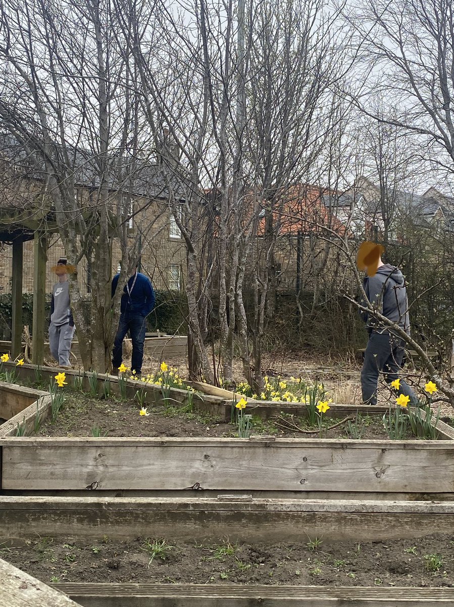 Pathways To Success tweet media