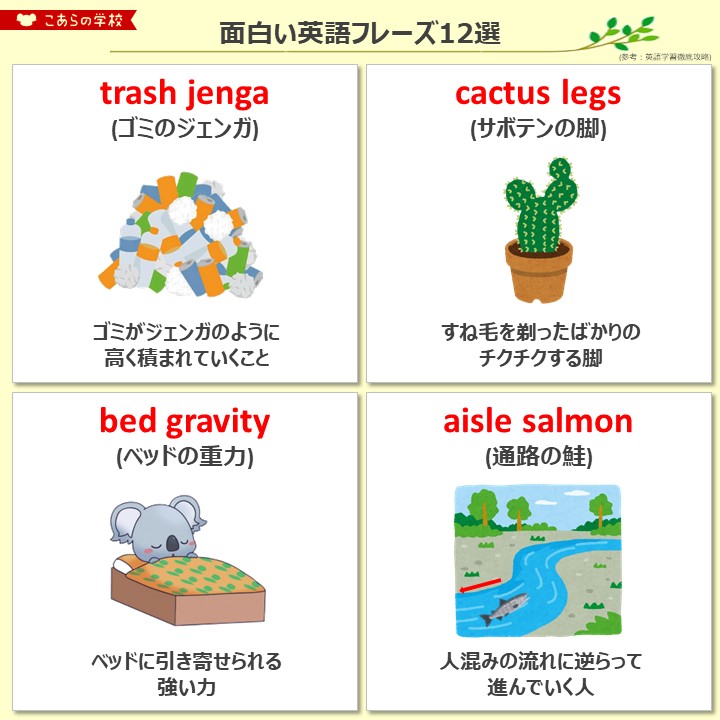 こあたん こあらの学校 面白い英語フレーズ12選 こあたん こあらの学校 面白い英語フレーズ12選
