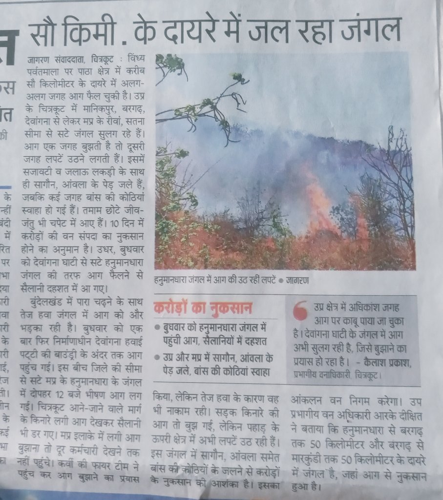 JournoShubhm's tweet photo. In uttar pradesh chitrkot District forest is burning.
@GretaThunberg @disharavii
#forestburning #UttarPradesh #chitrakoot #forest
@chitrakootpol @News4Chitrakoot
@anuj_hanumat @DmChitrakoot https://t.co/QFPF2FC2vs