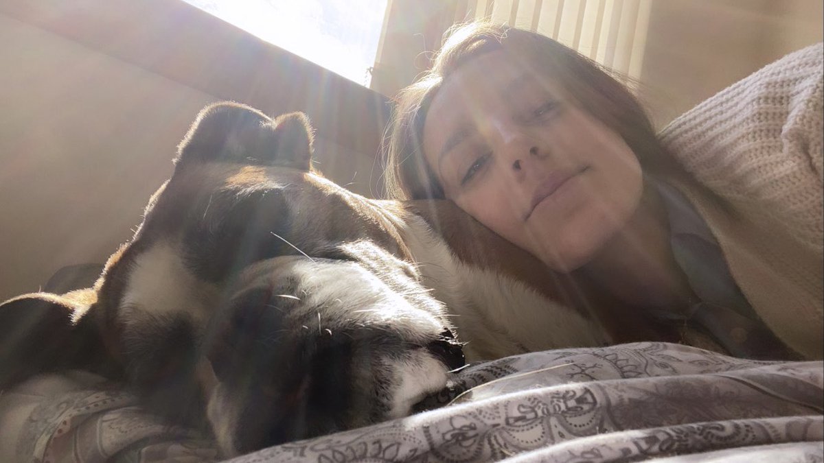 Working from home today instead of the lab which means lunch break cuddles 💕 I would genuinely be so lost without my princess at the moment so this is an appreciation post for my girl Jazzy for keeping me going and getting me up every day! We don’t deserve them 🐶💗