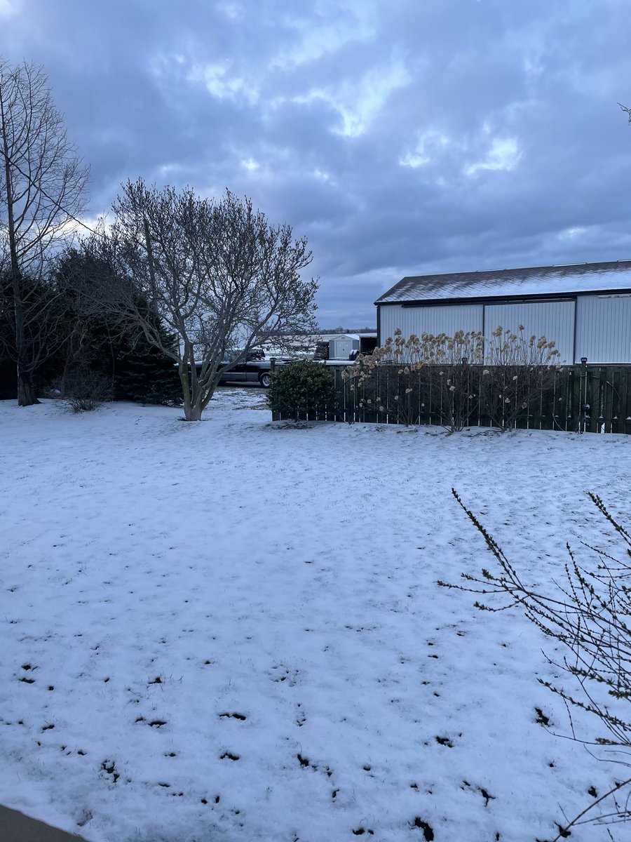 KenHamm4's tweet photo. April Fools !!????  Nope !Mother Nature and her weird sense of humour!! 😂#notquitespring https://t.co/O929eSPYIB