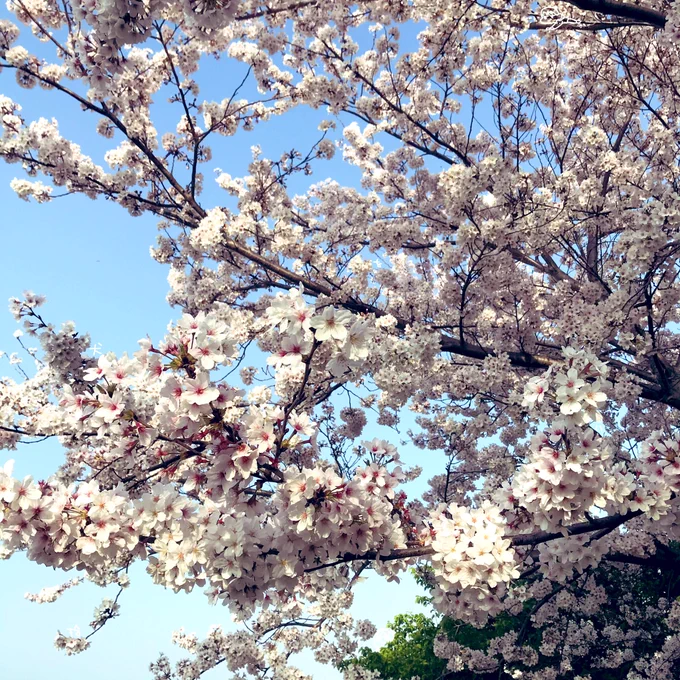 4月だ!!!!画像2枚目に犬とタケルと「犬を拾いました。」をちまっと書きました。どこにいるかな! 