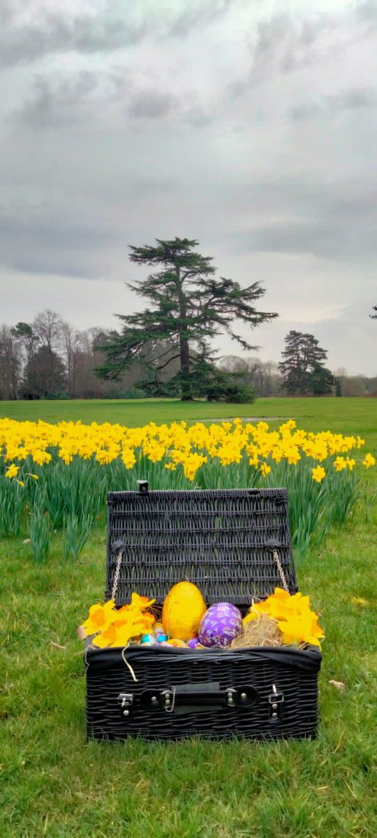 IoHSouthEast's tweet photo. Not only has the #Easterbunny been to check out @PennyhillPark (did you guess it?) he's been leaving some treats at another location! Our trail ends in the garden, where has he been leaving choccie treats? #easterfun #virtualeaster #thamesvalley @IoH_Online https://t.co/vMQ4Tq2HUl