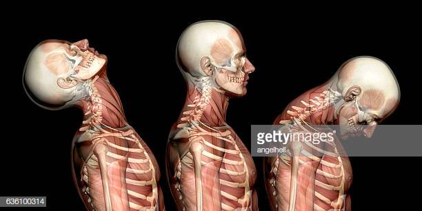 physiotherapyr5's tweet photo. Musculoskeletal Physiotherapy is a specialised area of physiotherapy treating injuries and conditions which affect the muscles, joints, and soft tissues. Injuries which can be treated by musculoskeletal physiotherapy can include: 
• Ligament sprains. 
• Muscle strains https://t.co/xubRupUVFi