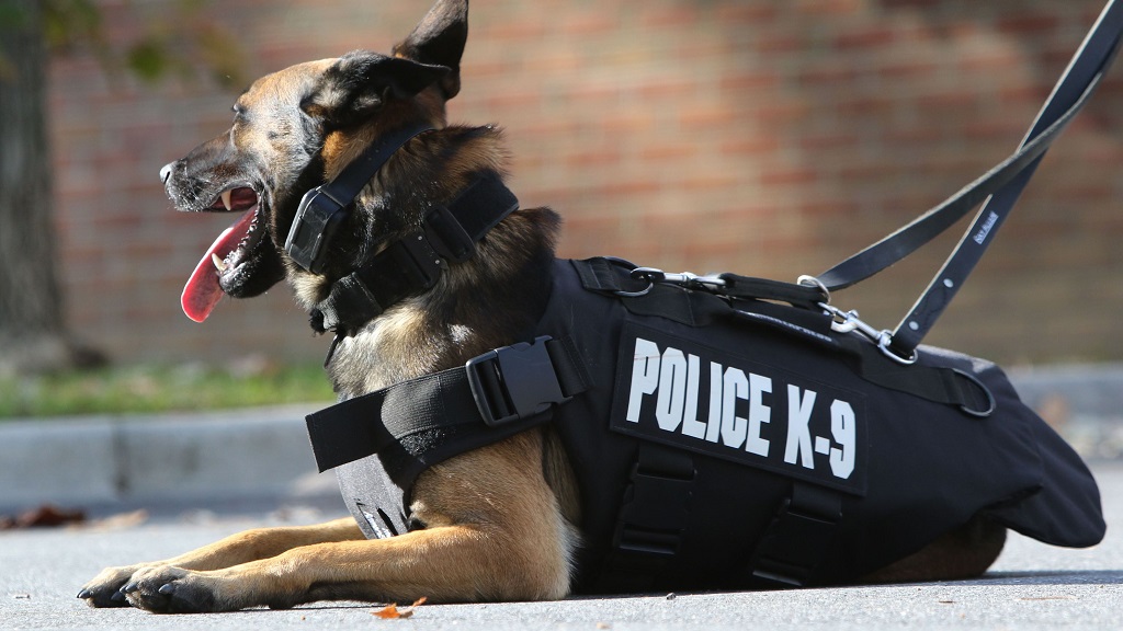 St Lucia Police gets new K 9 unit to fight crime