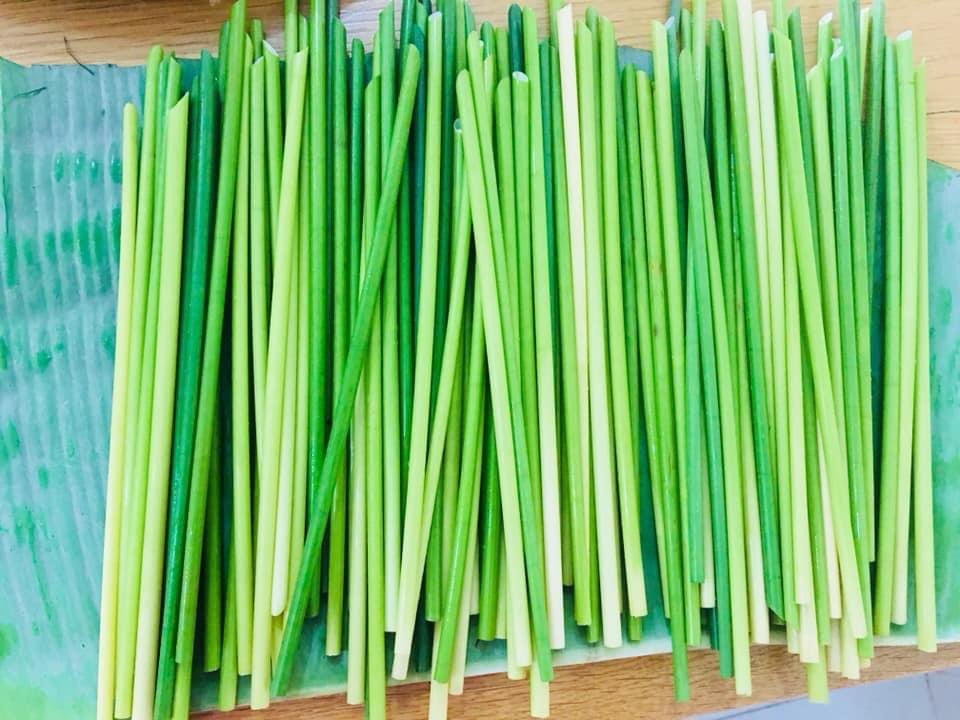 LicypriyaK's tweet photo. After 7 months of research, finally I found this wild grass species (Scientific Name: Lepironia articulata) in India🇮🇳. This grass can eliminate single use plastics straw🥤completely from our planet🌏. Vietnam 🇻🇳 is the only country growing &amp; supplying this grass straw currently. https://t.co/Y2yMQAiYzp