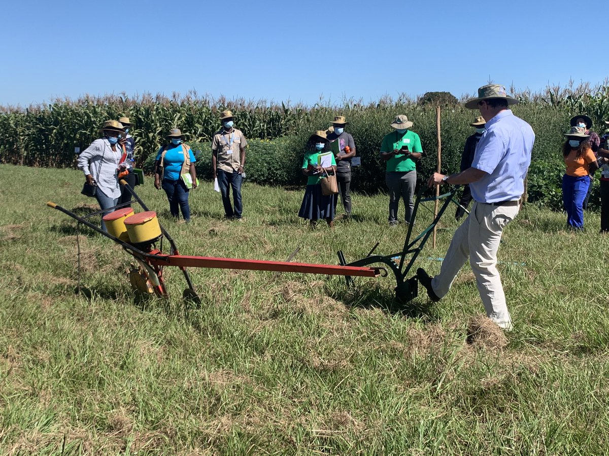 Socially distant <a href="/CIMMYT/">CIMMYT</a> field day for #FAO food security cluster group, show casing #mechanisation, nutritious and climate smart #maize and improved agronomy
