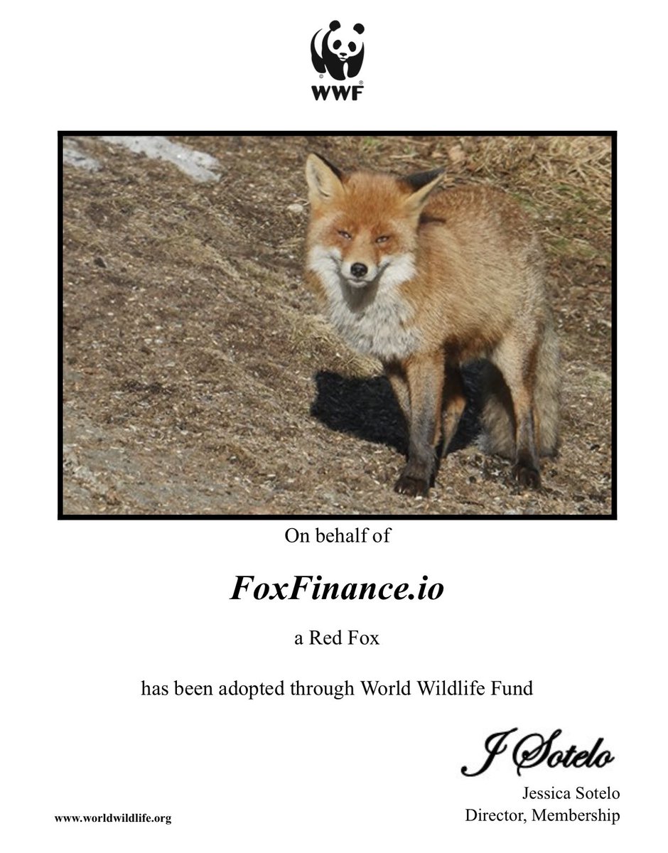 vbgeek's tweet photo. @coingecko Meet one of our several adopted foxes!  Find us at https://t.co/de3Tj2Uulc and https://t.co/J5mZdhjpOk and please list us @coingecko! /cc @foxfinancebsc https://t.co/Sv6AZ2FHHZ