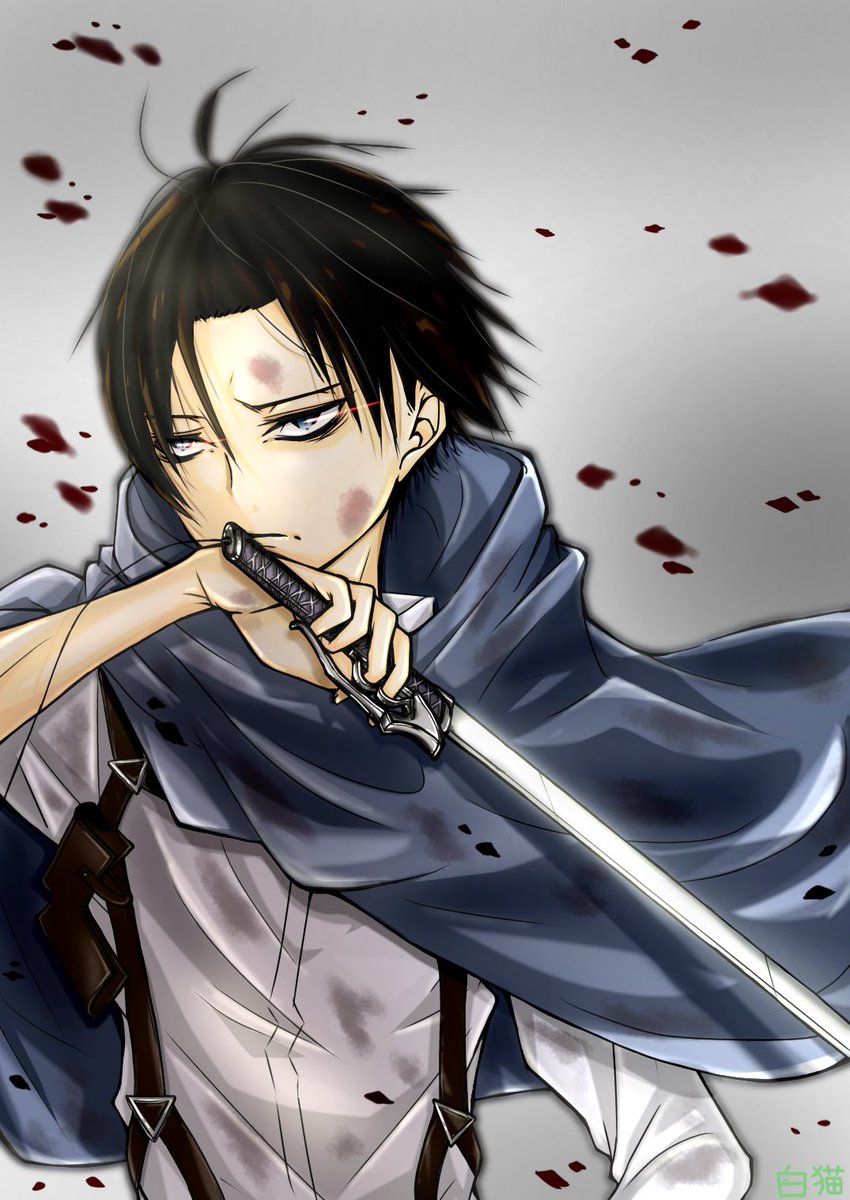 白猫 進撃の巨人 進撃の巨人イラスト リヴァイ兵長 イラスト 絵描きさんと繋がりたい 完成ーーーーー ヾ ﾉ 妹ちゃんからリクエスト リヴァイさんでした