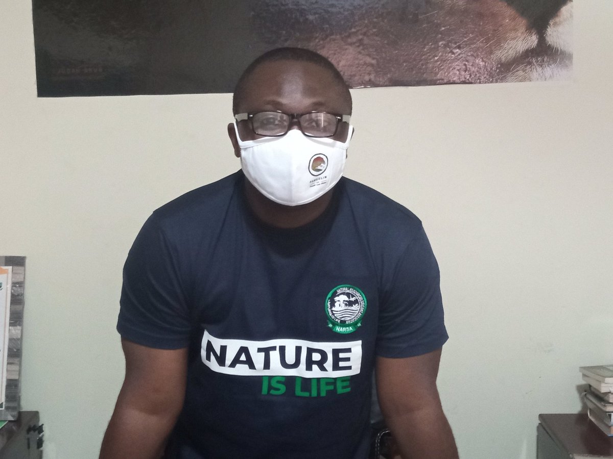 PangolinGh's tweet photo. The coordinator for @PangolinGh @YawBoakyeAgyem2 launched the Mask-up for Pangolins Campaign by wearing an PangolinGh branded nose mask. Thanks to @catherine_barr, Faith and @johnhpango for their support. #MoreIsNeeded.
#MaskUpForPangolins. https://t.co/37RDXb4pe9