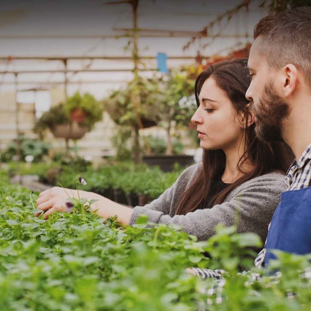 BAGDcourses's tweet image. Dreaming of a career in #gardendesign? 👉 From meetings with clients to dealing with contractors and overseeing projects, here's what you need to know to get started: bit.ly/34ljkjU

#gardendesign #gardendesigner #gardening #BAGD