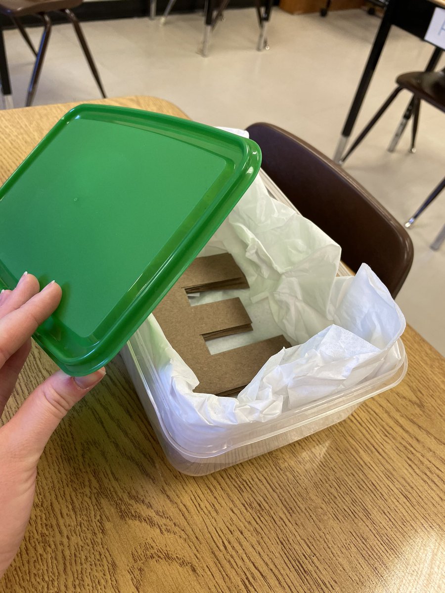 Some freshly made Brown E’s for room 23 on this chilly April Fools Day!! 😄<a href="/BrownPSPanthers/">Brown Public School</a>