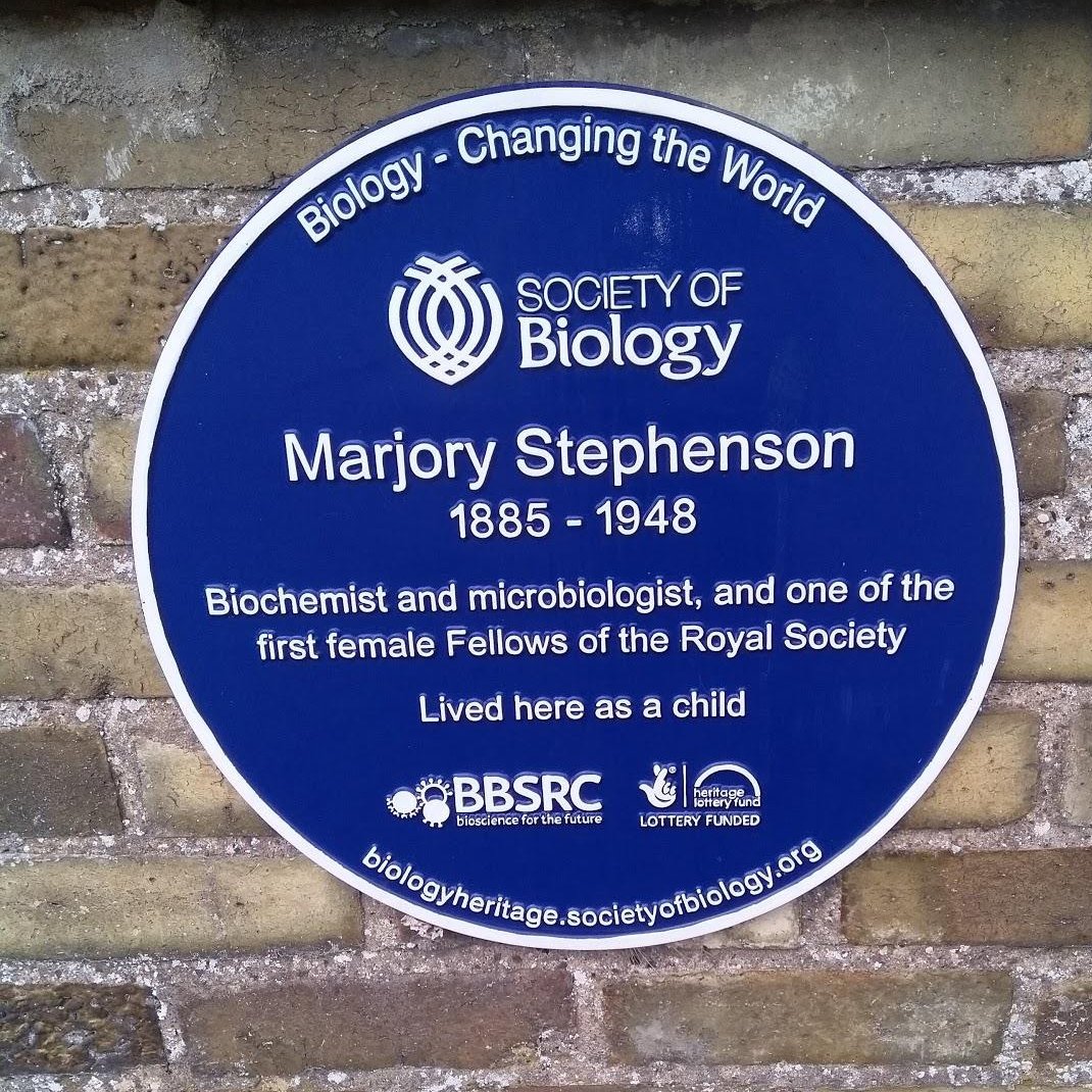 WhippleMuseum's tweet photo. Looking for a fun #FamilyFriendly activity?
Discover the fantastic female scientists represented in our collections in our @camcitco #ChYpPs session on Wednesday 7 April, 11am to midday!
Email chypps@cambridge.gov.uk to book a FREE place for your 7-11-year-old. https://t.co/KnyWk6KfNo