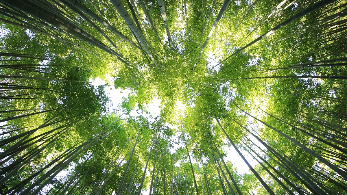 ExeterMed's tweet photo. Check out the latest episode of the #Exeplore podcast, this time with our PhD student Alex Smalley. He talks about his #VirtualNature project and how technology can combine with #nature to improve #wellbeing. 

#MentalHealth 

👉https://t.co/kmq9wQveM3 https://t.co/O7Os18egZB