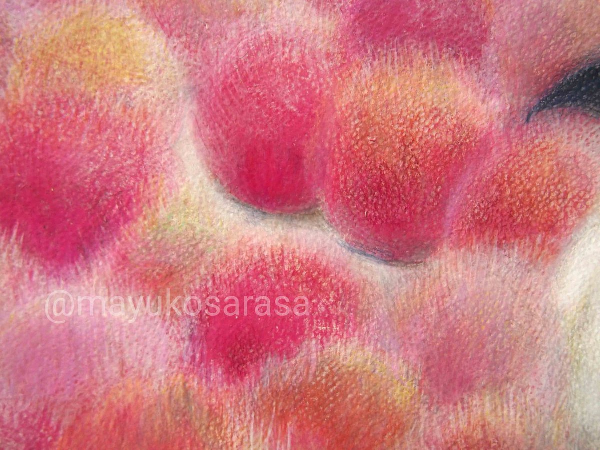 さらさまゆこ 画家 ｲﾗｽﾄﾚｰﾀｰ ピンク色のコキア イラスト しろくま アクリル絵の具 色鉛筆 T Co Ehxxajut7v Twitter