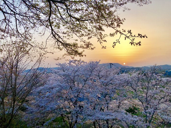 「自然风景 夕焼け」のTwitter画像/イラスト(人気順)