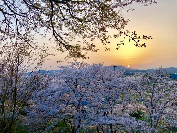 4月ですね。
新生活がスタートする人もいるでしょう。
何かを変えてやると意気込む人もいるでしょう。

新しい自分に出会えるといいですね。
それぞれが自分にとっての幸せの形を見つけられるといいですね。

あなたの幸せを願っています。 
