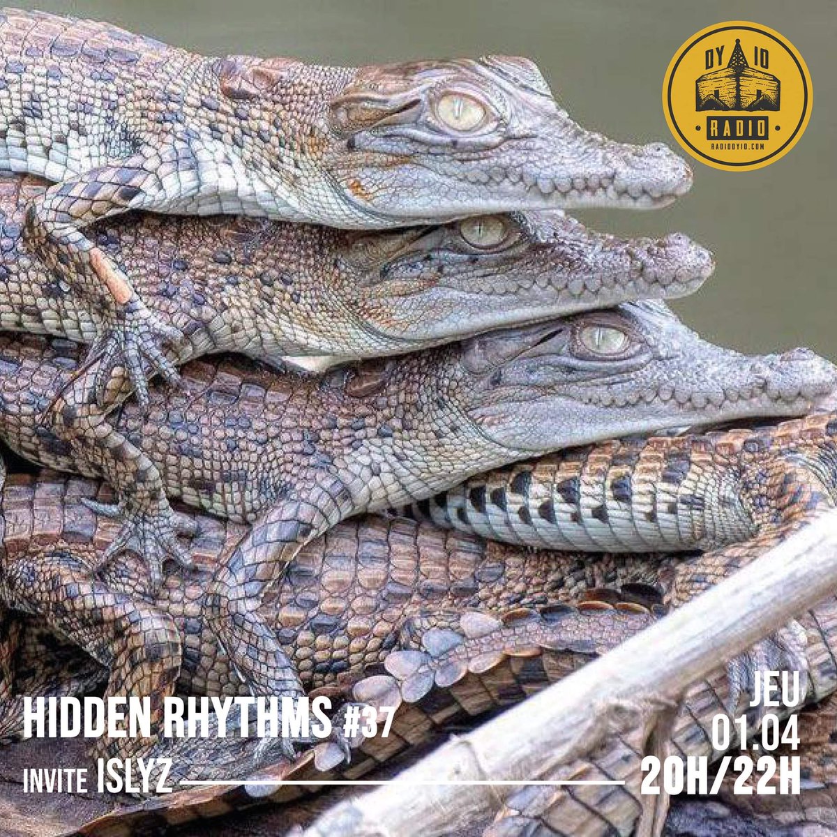 HiddenRhythms_'s tweet photo. New month new show with Islyz tonight! 20:00/22:00 https://t.co/Z30ApnN4Hz 🐊 https://t.co/4Pwh98Vzjb