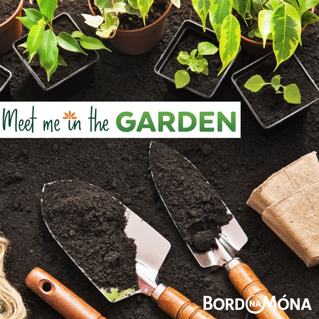 Join us now, Thursday 1st April at 1pm, as we prepare to #MeetMeintheGarden with hints, tips and advice from <a href="/paraichorkan/">Paraic Horkan</a> and <a href="/AoibhinGarrihy/">Aoibhín Garrihy</a> on how to transform your garden into a beautiful outdoor space you can enjoy this Summer. 
app.sli.do/event/nilo3xbi