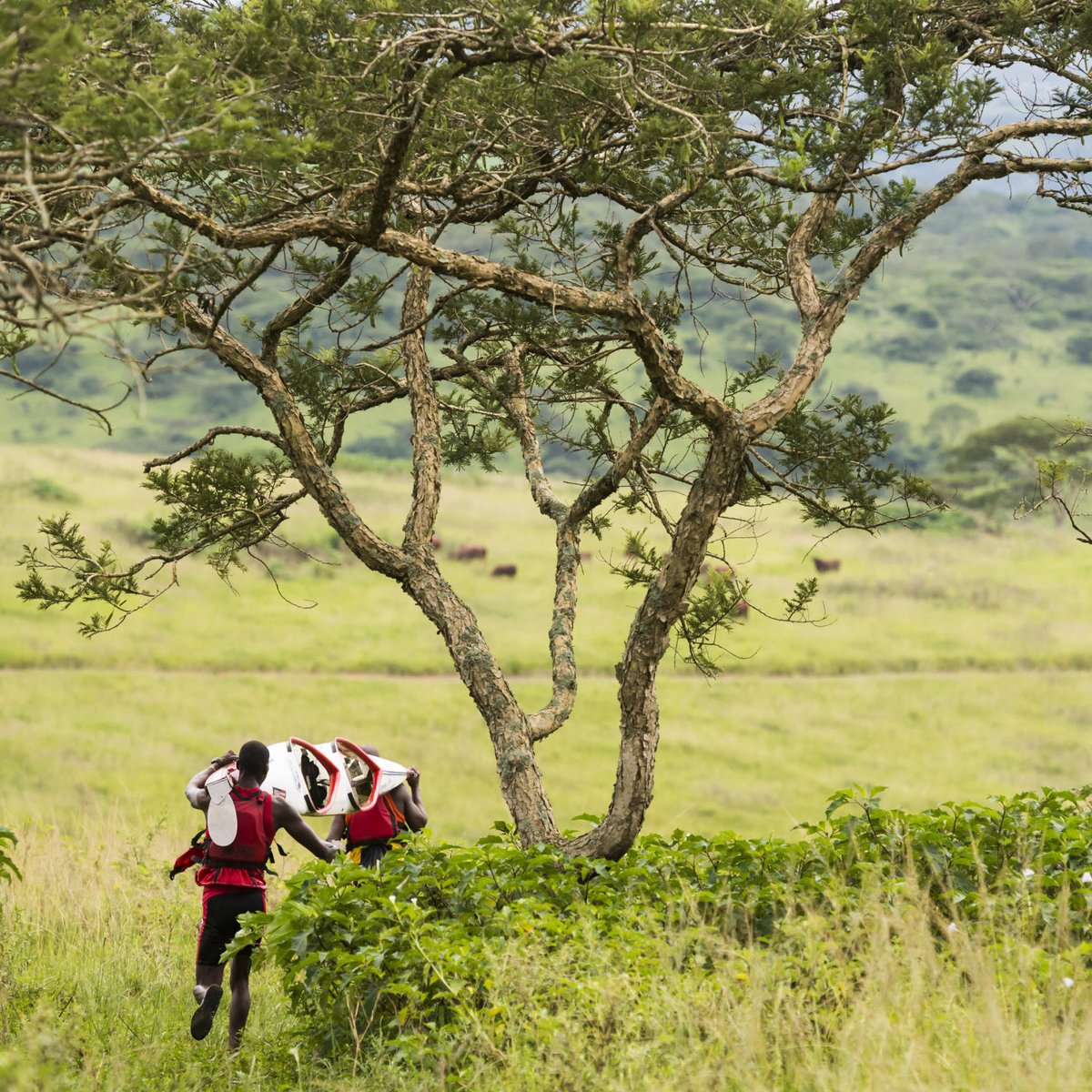 NonStopDusi tweet media