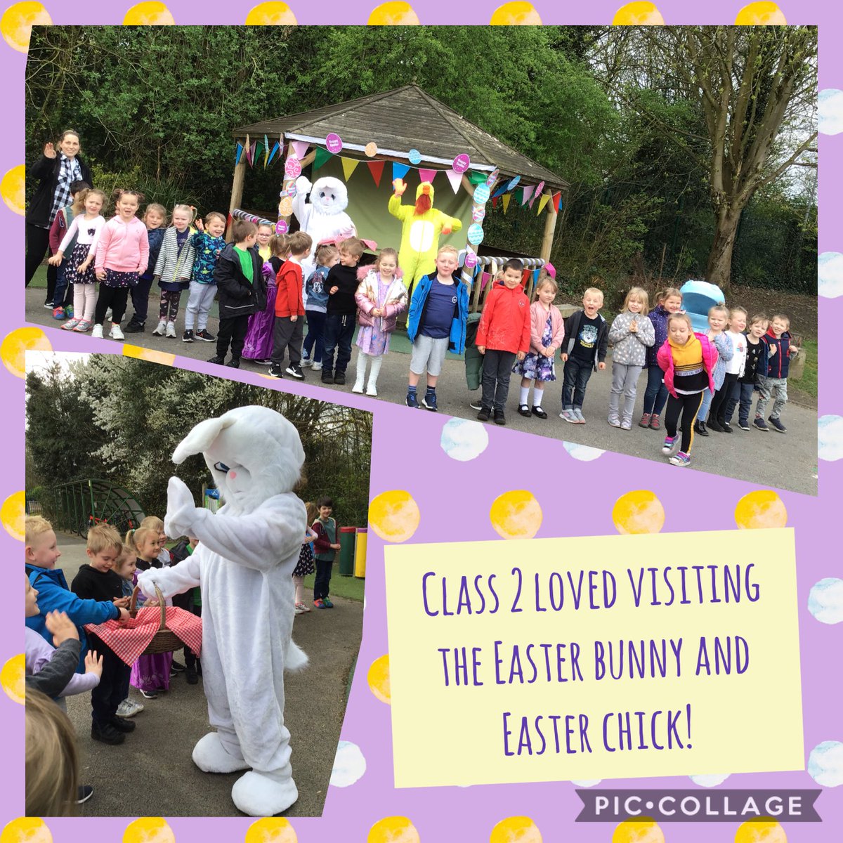 Locking Stumps CPS tweet media