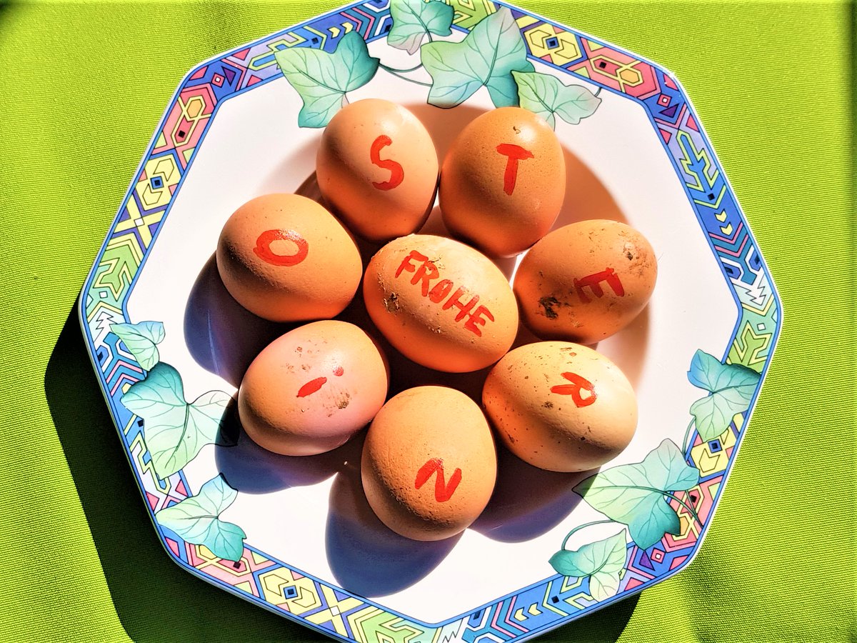 „Careful – handle like eggs!“ –das stand früher quer über den Gitarrenkästen meiner Lieblingsband. In diesem Sinne Ihnen und euch allen möglichst bunte und sinnenfrohe Ostern!