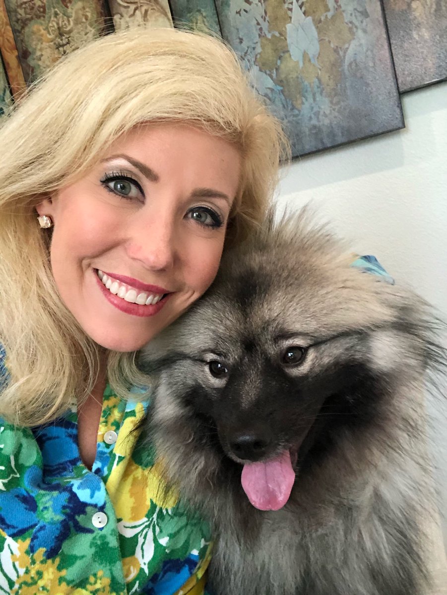 CalvertCollins's tweet photo. My office buddy! Elsa has been our #COVIDpuppy, and we’ve loved getting to spend so much time with her. #Elsa #keeshond #4thchild https://t.co/33dIts6no9