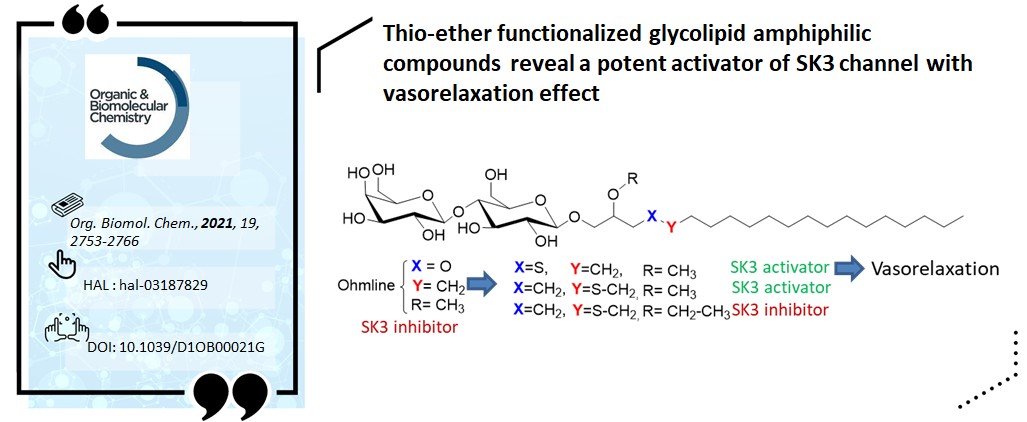 UMR_6521's tweet photo. #ResultatScientifique : Belle découverte d'effets de super💪 #vasorelaxation  de canaux #SK3 par des analogues de l'#Ohmline !
➡️https://t.co/3I4nshtzcm
🔎DOI : 10.1039/D1OB00021G
@INC_CNRS @UBO_UnivBrest @Cosm_Cemca @CNRS_dr17 https://t.co/DJcys3JT1M
