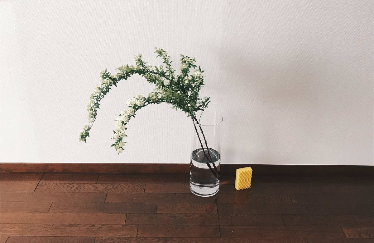 た し 40cmくらいのでかい花瓶買った 大きさが伝わりにくいのでスポンジ 置いときました