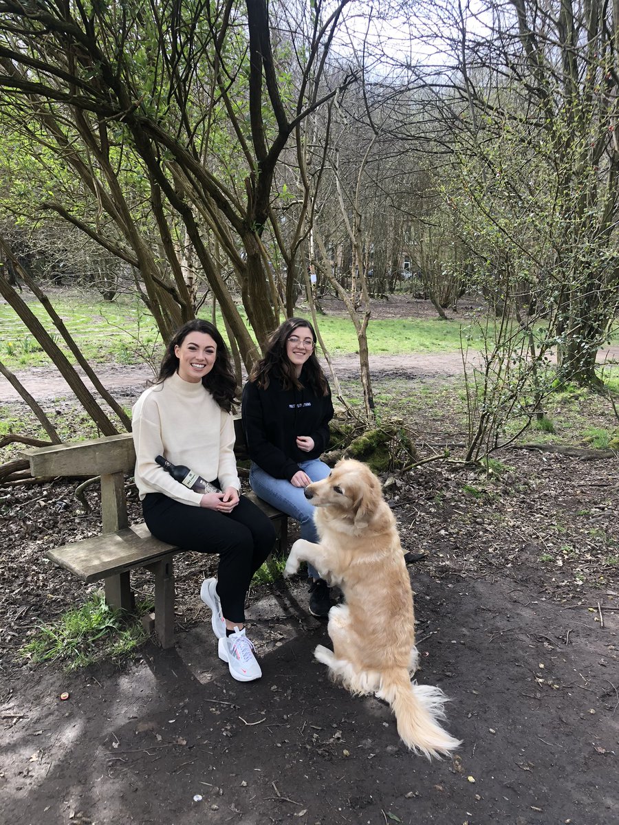 WalkWindows's tweet image. Tilly Paws Off has just handed out the first of our Spring Fling Prizes. 🏆 

Rose and Leona said, “We had so much fun making our window and loved seeing everyone else’s displays. Thank you for the prize and it’s an honour to meet the mascot of the children’s wood!”