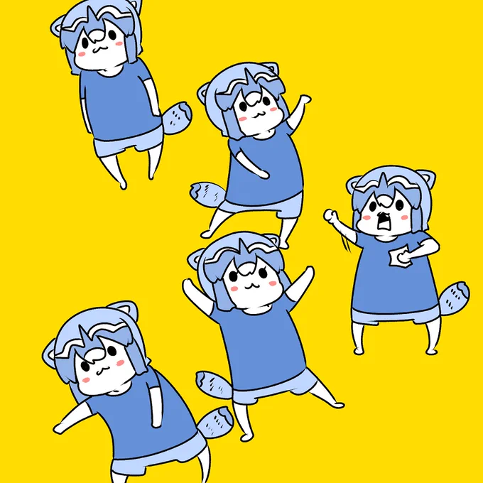 複数のアライグマ 