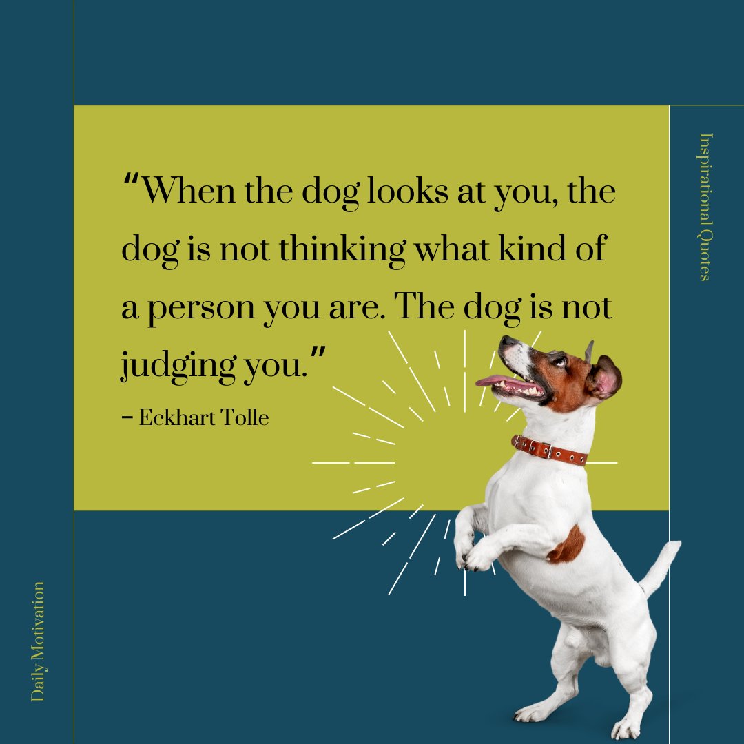 Dog will never judge you!🐶❤

#dogs #doglove #quotes #quoteoftheday #DogTraining #podcast #thedogsway #dogquotes #puppy #pup #puppies #puppylove #dogslove #ilovemydog #DogsofTwittter #puppydaily #dogdaily #DogTraining #dogtrainingtips #cutedogs #doglovesyou #dogislove #doggo