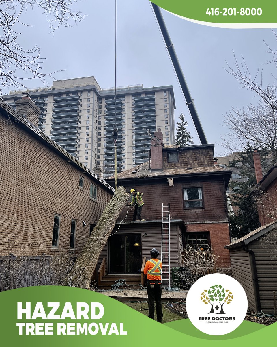 treedoctorsca's tweet photo. Thanks to our dedicated crew of David, Andrew, Ken and Alex plus the amazing team at All Crane, we were able to mobilize the next morning and remove the hazardous tree with no additional damage to the home. Special thanks to David who climbed the fallen tree. A job well done! https://t.co/ZDmCCZn1M1