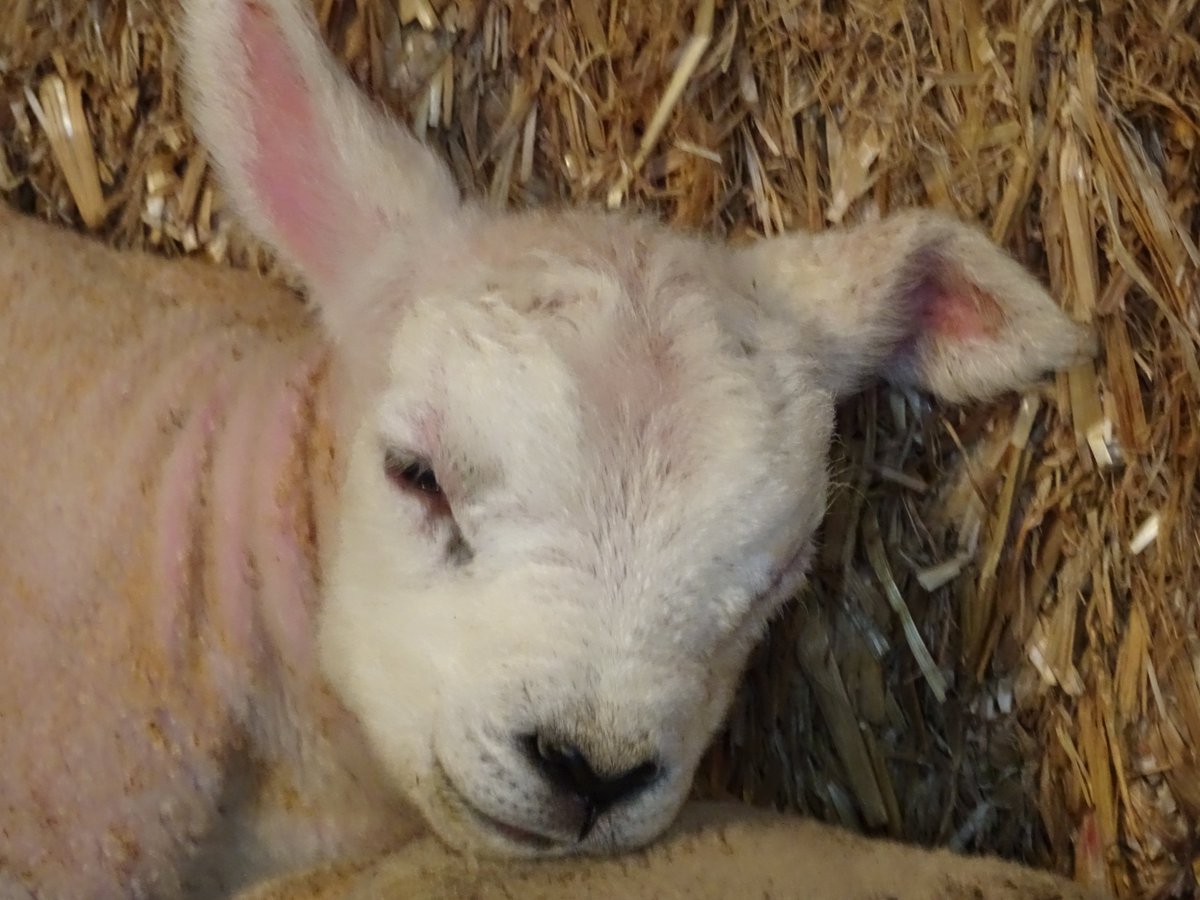 April News createsend.com/t/j-A8B3BC39E5…