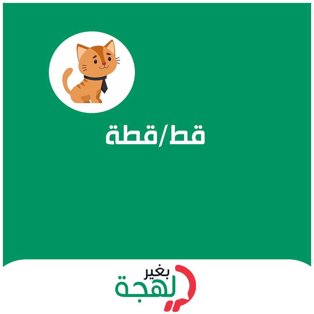 bgherlahja's tweet photo. قُطة في مصر والقاف تلفظ "أ" وكديس في السودان وقطوس في تونس.. 🐱 القط والقطة بمختلف اللهجات
#بغير_لهجة #وصل_لهجتك #لهجات #السعودية #مصر #المغرب #الجزائر #العراق #لبنان #تونس #السودان #الإمارات #سوريا #ليبيا https://t.co/0YueWu9cid