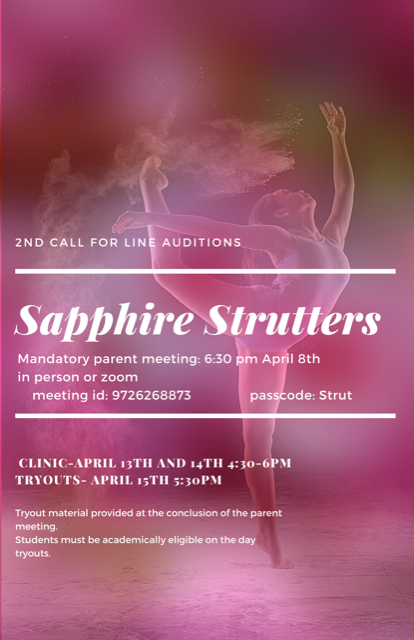 NFHS_TrueNorth's tweet photo. Calling all dancers! The 2nd call for Sapphire Strutters line auditions is coming! Check out the image before for all meeting, clinic and tryout info. Best of luck, Falcons! #trueNorth #empower 
@PrincipalJung @T_hop1814 @KChildress_NFHS @TyraClaytonEdu @principaliam @MrJMMood https://t.co/B7kRVGvaZP