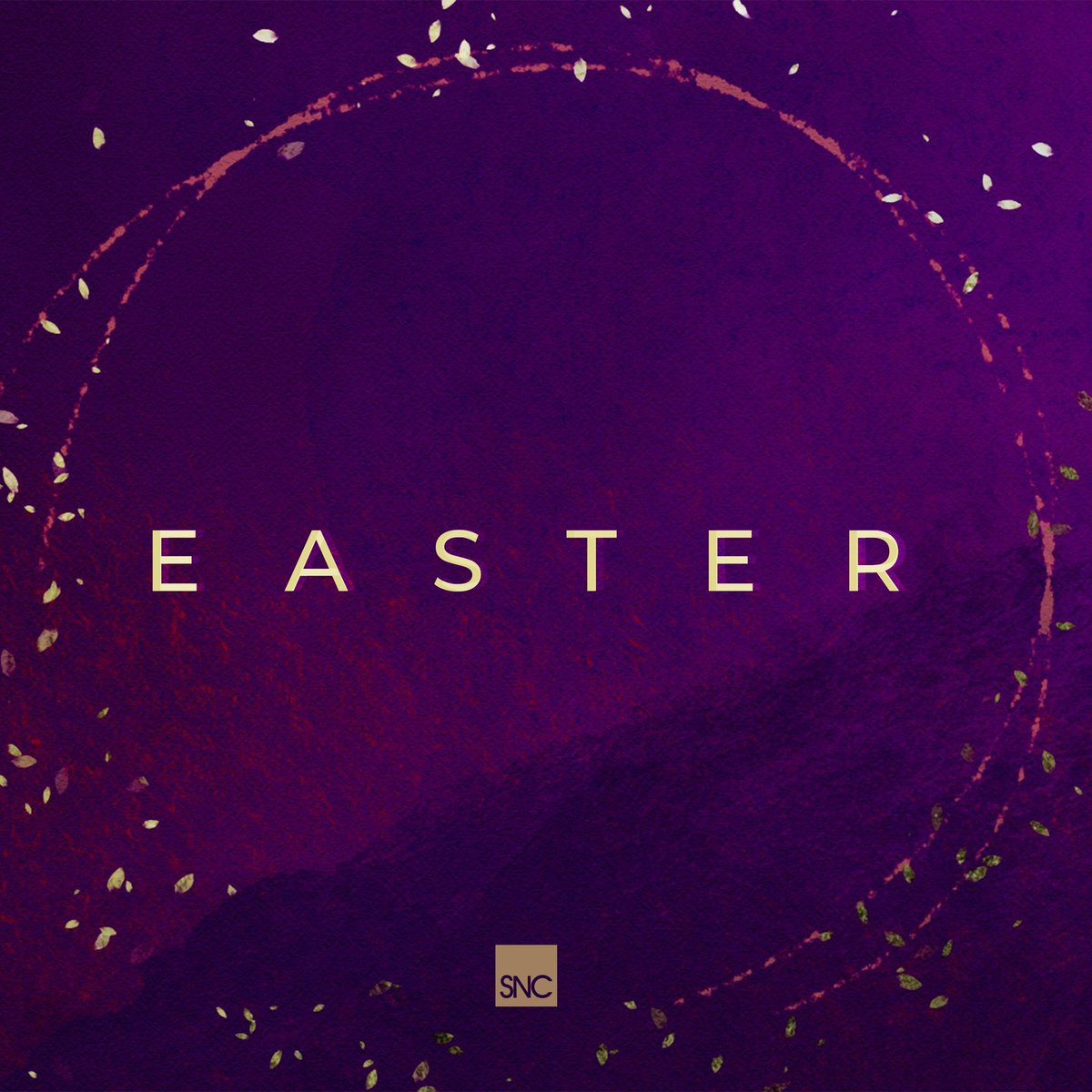 We can't wait to celebrate the risen Savior with you this Sunday! Invite your friends and family! #snclife 
snclife.org/easter