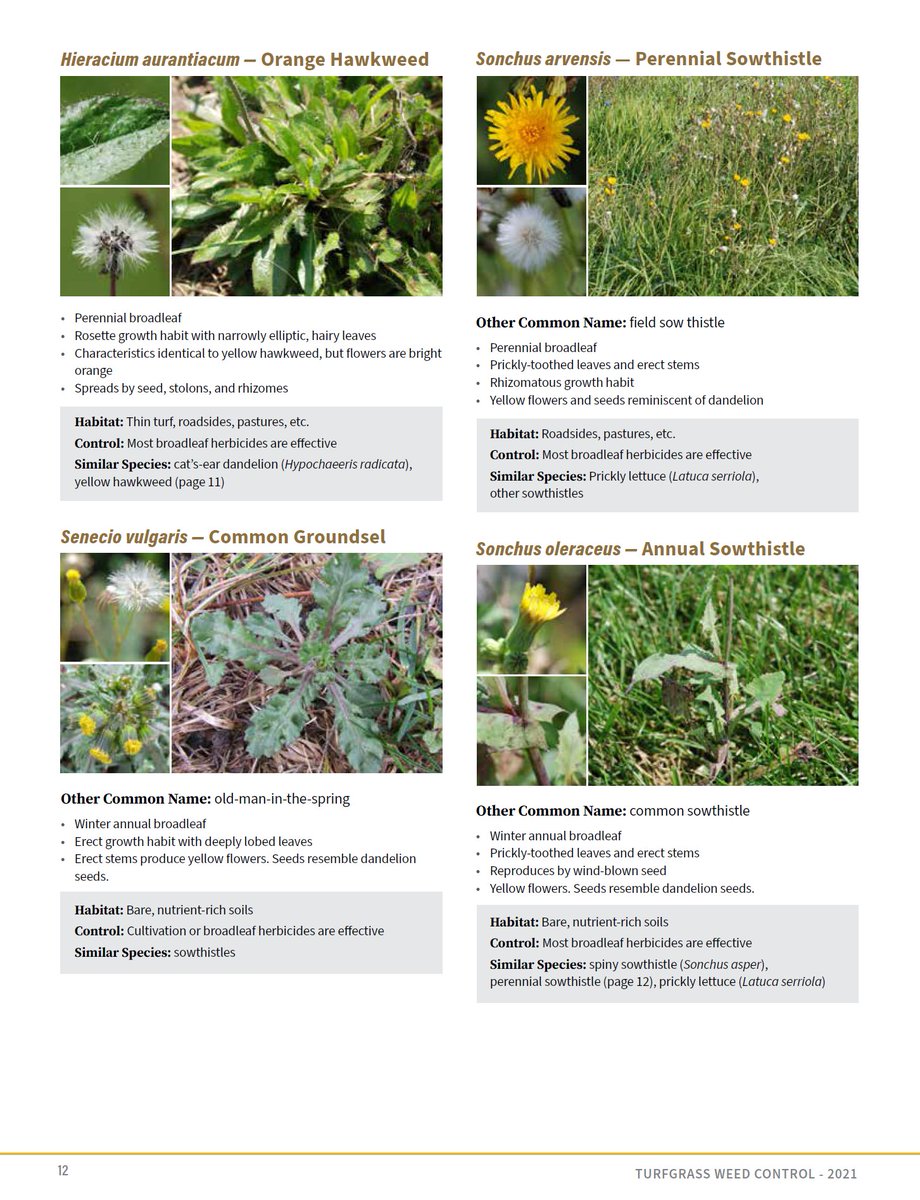 2021 Turfgrass Weed Control for Professionals now available. 16 states and 19 collaborators. @RUturfweeds co-editor. Full-color ID of 118 weeds. Updated with new products and research-based information. Order print ($20) or pdf ($12) at mdc.itap.purdue.edu/item.asp?item_…