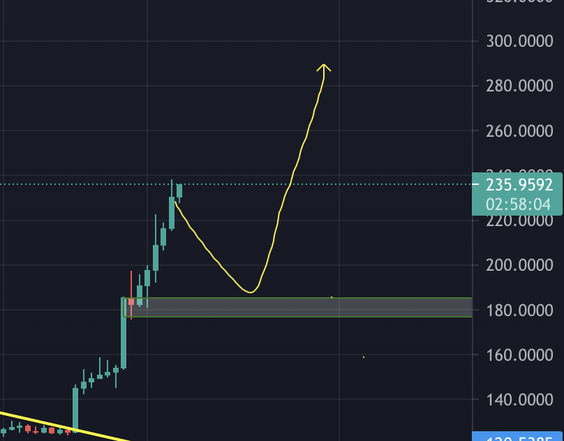 cryptoPWolf's tweet photo. @AtaliBaak I hope 255$, but is going up drastically, so I would imagine a correction at some point in the next few days. a good buy opportunity could be around 180$ https://t.co/R1OhcdBFTk