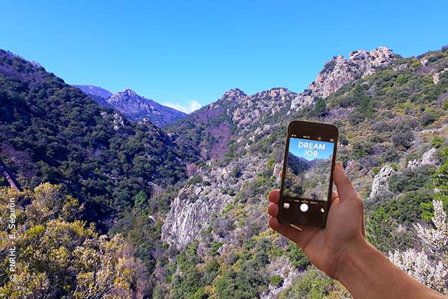 #Recrutement
Passionné.e de #DeveloppementDurable et #communication ?
👉Le <a href="/PNRHL/">PNR du Haut-Languedoc</a> recrute un.e volontaire en service civique #CommunicationDigitale : oeuvrez avec nous au développement et à la préservation d'un territoire d'exception.
➡️ bit.ly/JobPnrhl

#socialmedia #CM