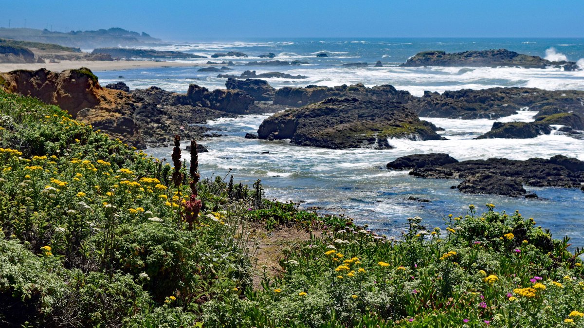NYCSandyTaylor's tweet photo. There's nowhere like #California. See it every day with a framed #print from https://t.co/uEPqGrFlHD #photography #wallart #homedecor #shopping https://t.co/5P7kC2HEt3