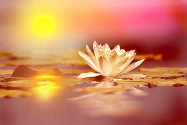 VrundaAnita's tweet photo. imagination is more important than knowledge - #Einstine #Rushivarji #quoteoftheday #thursdaymorning @VertigoWarrior @VernekarSushma @LostTemple7 @BahuRaani @nehal_079 @harish_purohit @birla_vedant @satyamkrjha @SoulfulKnight01 @MeriRadhe @Ashabhatnagar4 @InfoVedic https://t.co/hVpKeYTzCA
