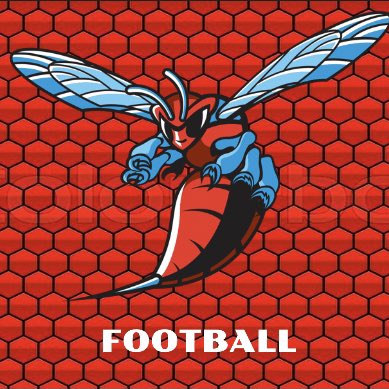 Welcome to the new Delaware State Twitter page! #StingEm #HornetsNest