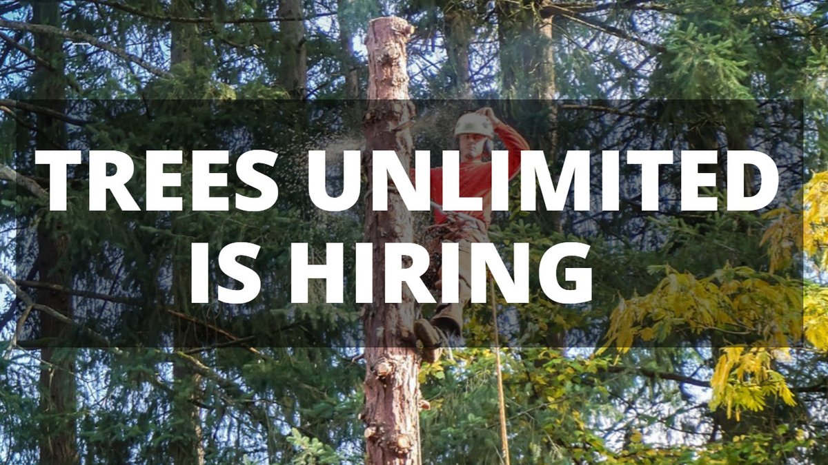 sdevm's tweet image. Trees Unlimited Is Expanding – Searching for Experienced Tree Service Technicians – Trees Unlimited Is Expanding – Searching for Experienced Tree Service Technicians treesfwb.com