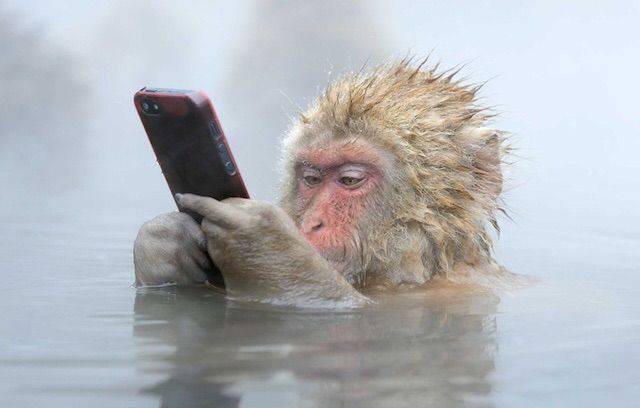 Caption this! #AprilFoolsDay